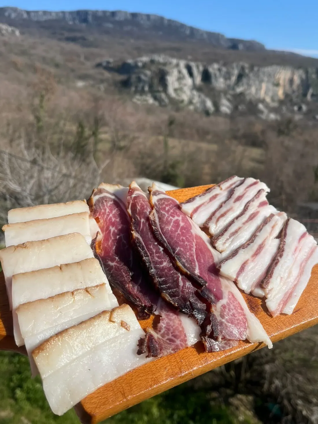Domaći proizvodi od mangulice